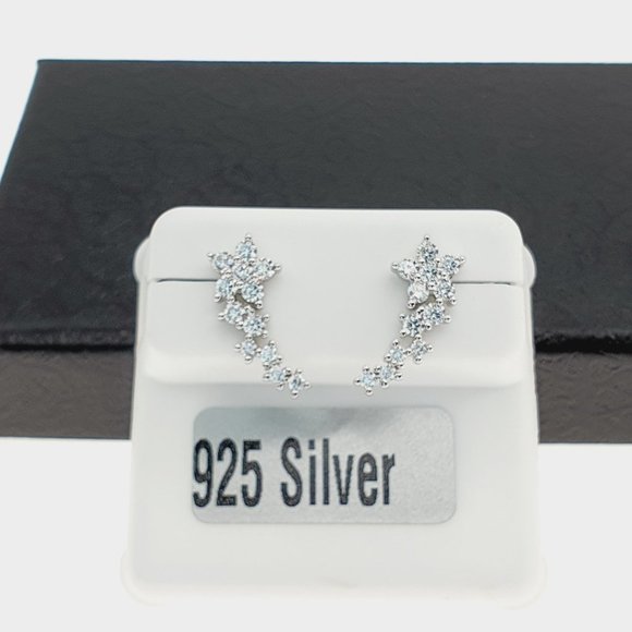 925 sterling silver luxury CZ earrings for women/girls, Best for RJUS2231 - Picture 10 of 10